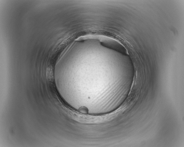 X0000115540048200911201749