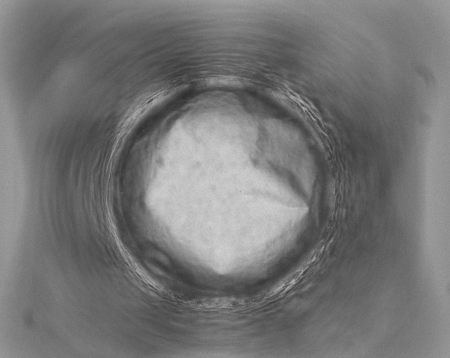 X0000115540049200911201748