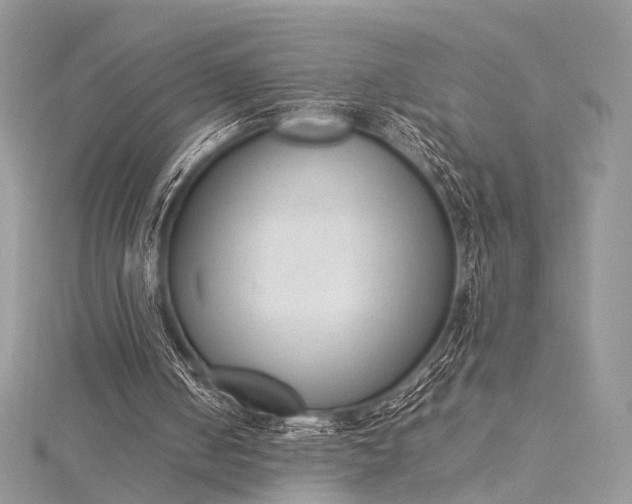 X0000115540050200911201748