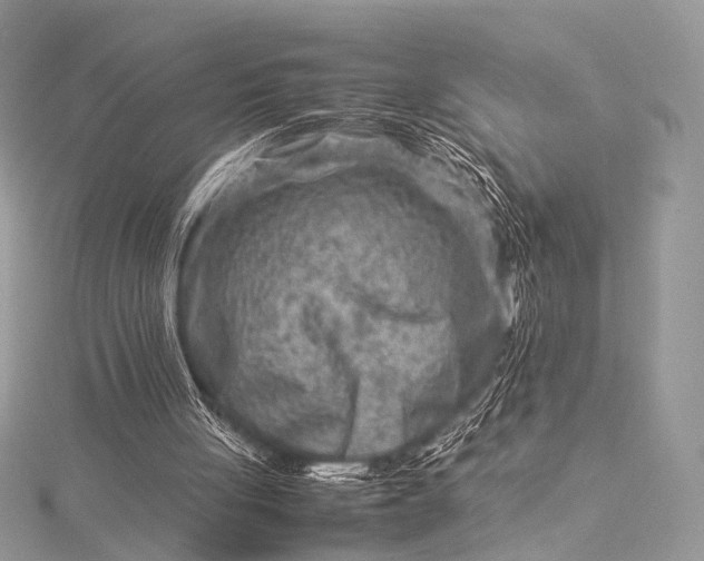 X0000115540051200911201748