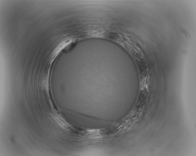 X0000115540052200911201748