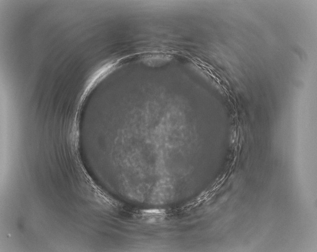 X0000115540053200911201748