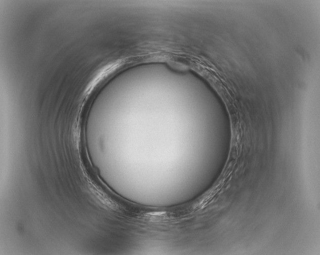 X0000115540054200911201748