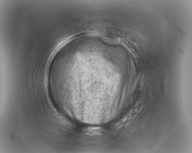 X0000115540055200911201748