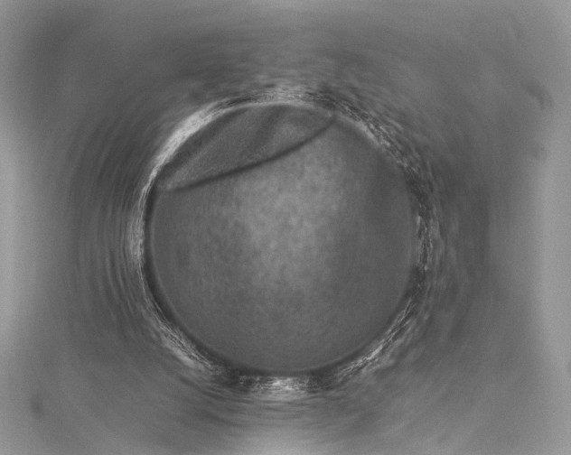 X0000115540056200911201748