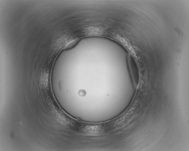 X0000115540057200911201748