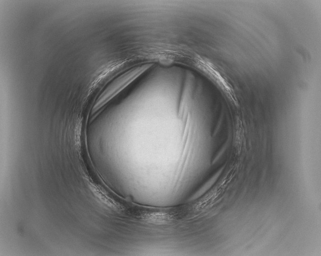 X0000115540058200911201748