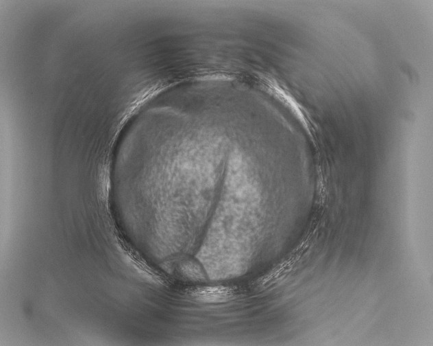 X0000115540059200911201748