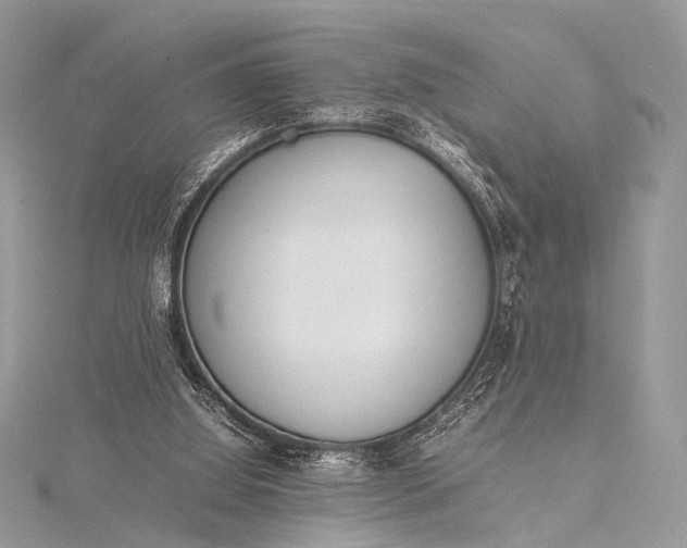 X0000115540060200911201748