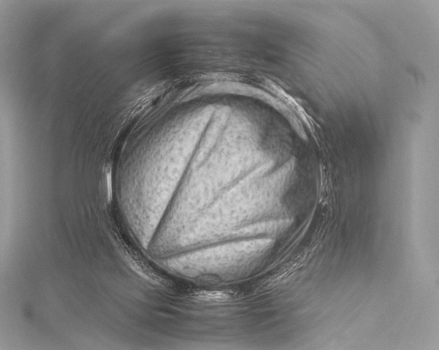 X0000115540061200911201748