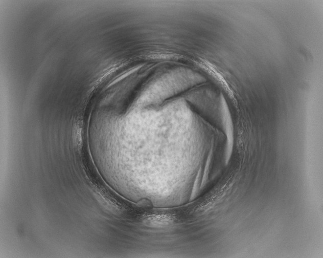 X0000115540063200911201748