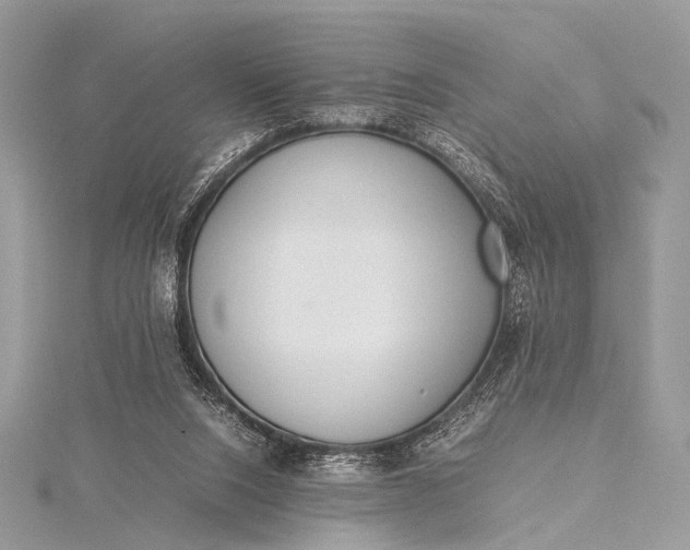 X0000115540064200911201748