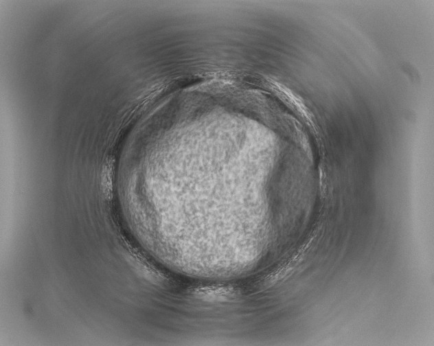 X0000115540065200911201748