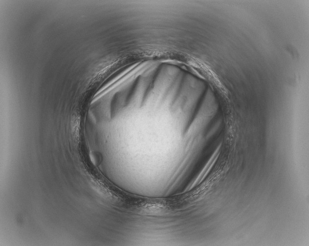 X0000115540066200911201748