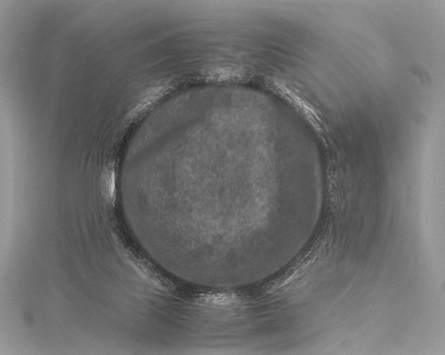 X0000115540067200911201748