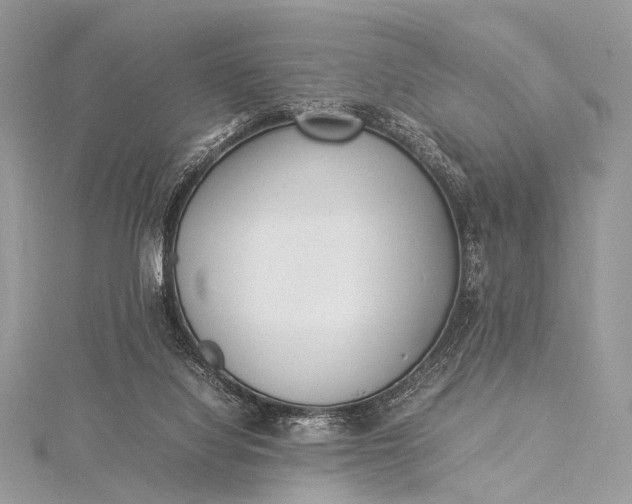 X0000115540068200911201748