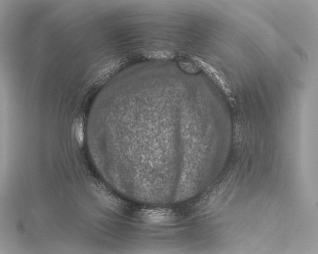 X0000115540069200911201748