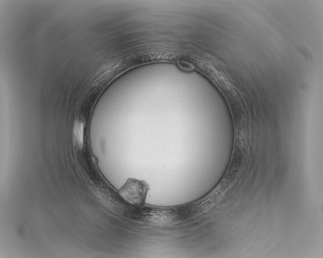 X0000115540070200911201748