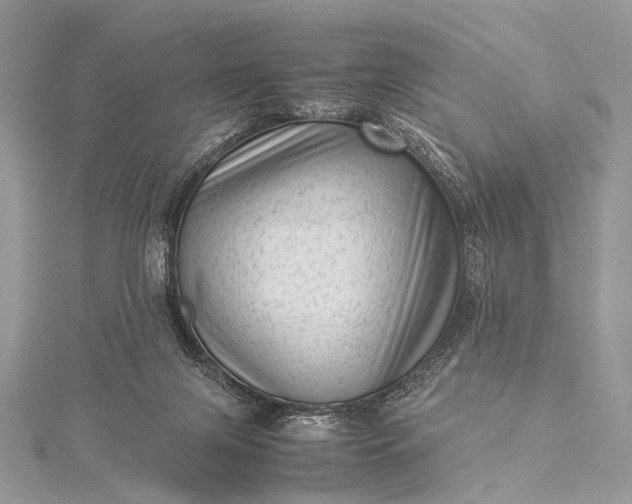 X0000115540071200911201748