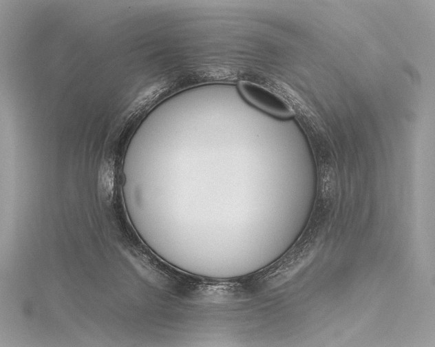 X0000115540072200911201748