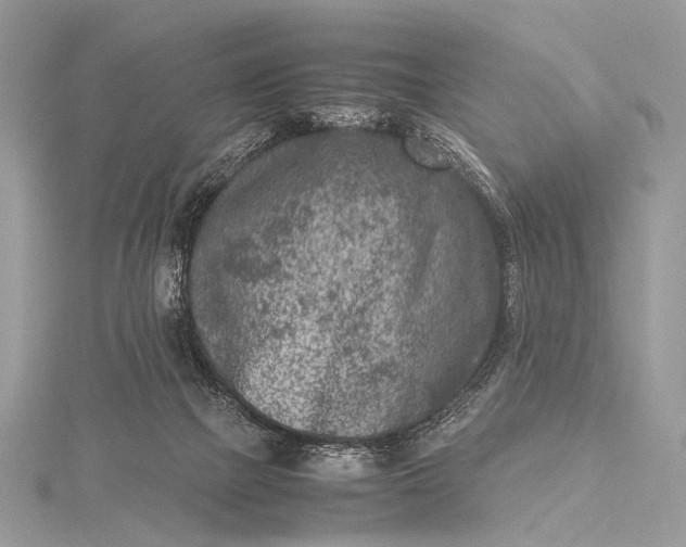 X0000115540073200911201748