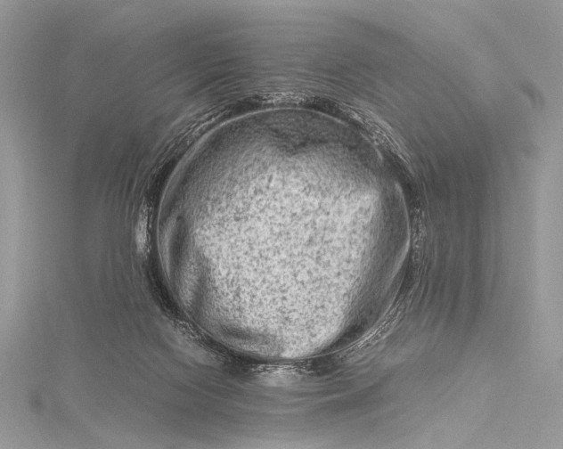 X0000115540074200911201748