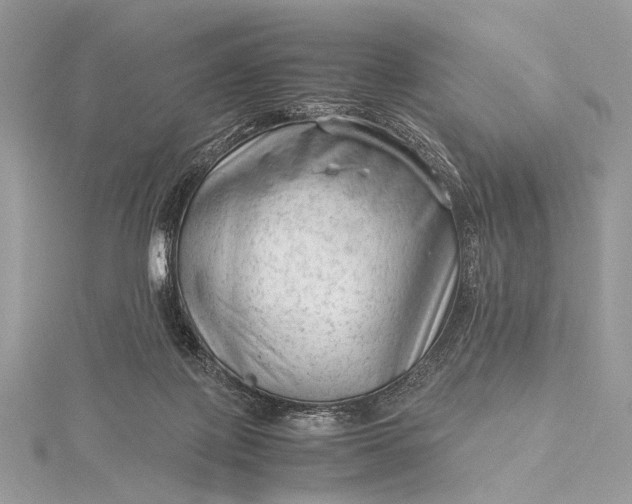 X0000115540075200911201748