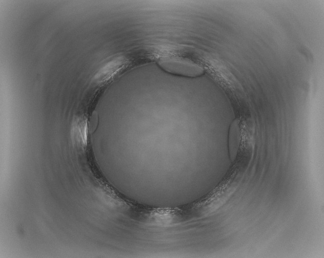 X0000115540076200911201748