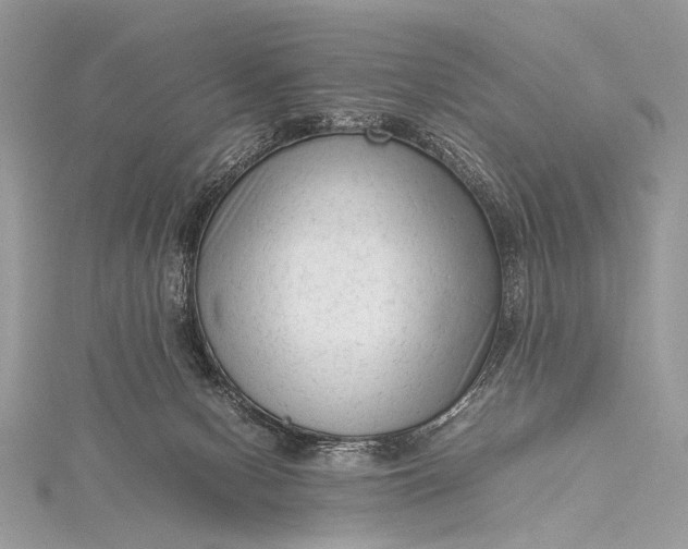 X0000115540078200911201748