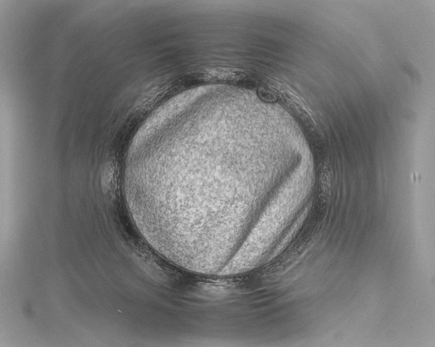 X0000115540079200911201748