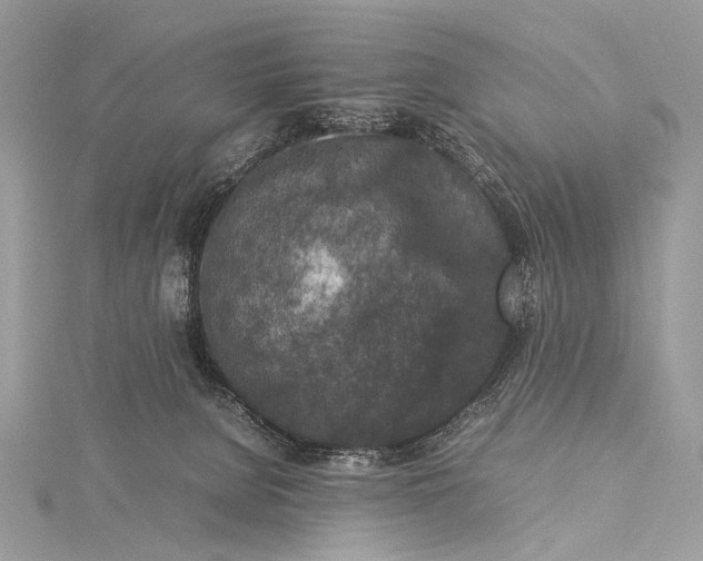 X0000115540080200911201748