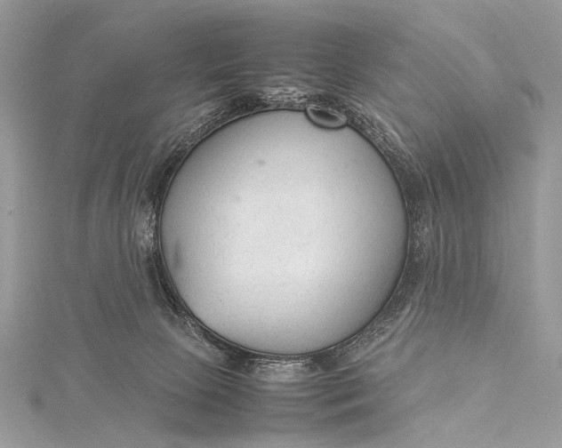 X0000115540081200911201748