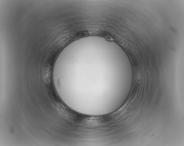 X0000115540082200911201748