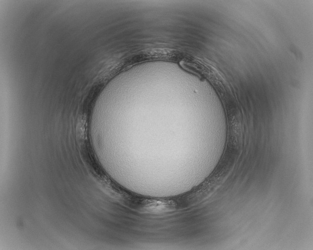 X0000115540083200911201748