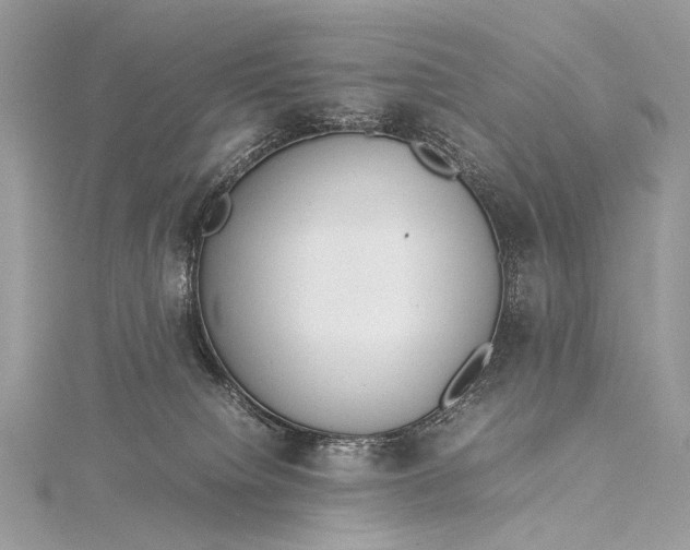 X0000115540084200911201748