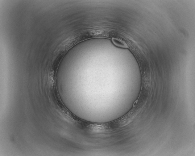 X0000115540085200911201748