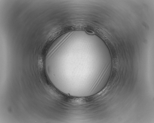 X0000115540086200911201748