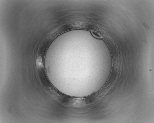 X0000115540089200911201748