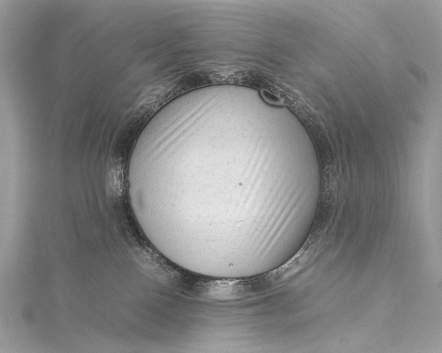 X0000115540090200911201748