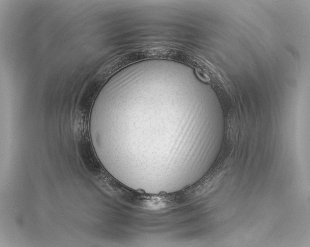 X0000115540091200911201748