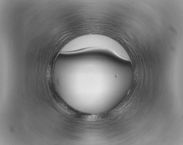 X0000115540092200911201748