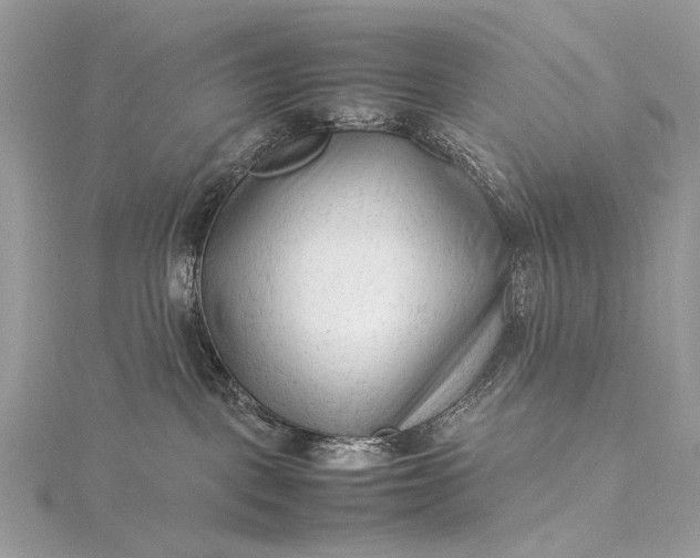 X0000115540093200911201748