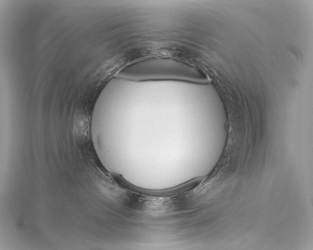 X0000115540096200911201749