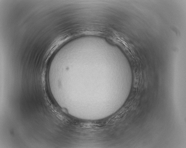 X0000115540098200911201748