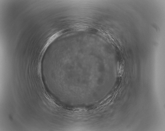 X0000115540099200911201748