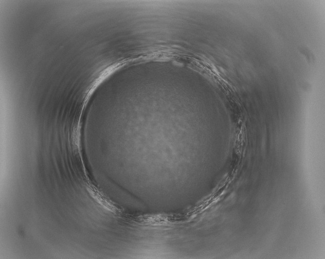 X0000115540100200911201748