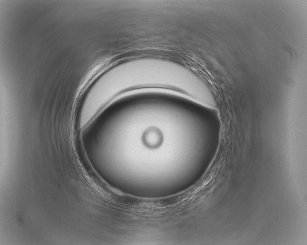 X0000115540101200911201748