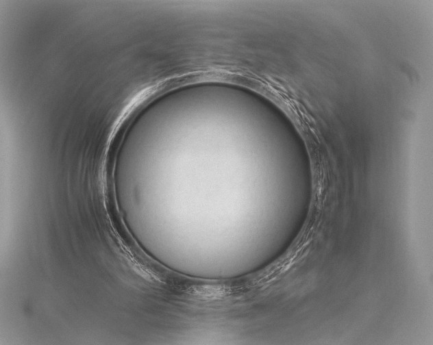 X0000115540102200911201748