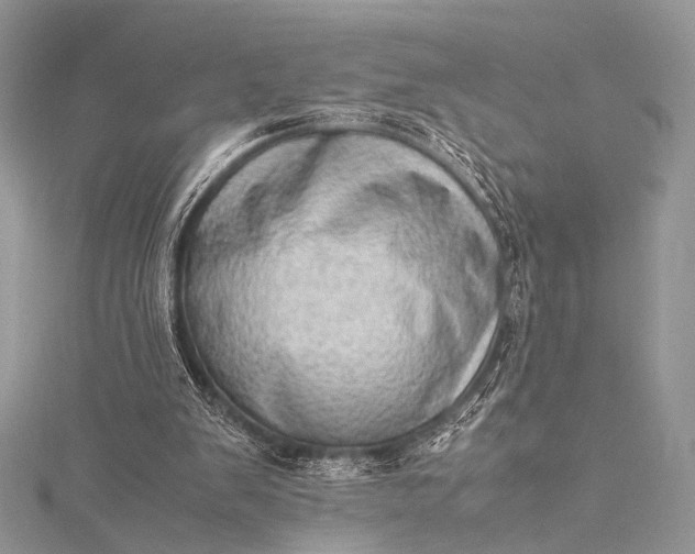 X0000115540103200911201748