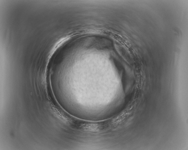 X0000115540104200911201748